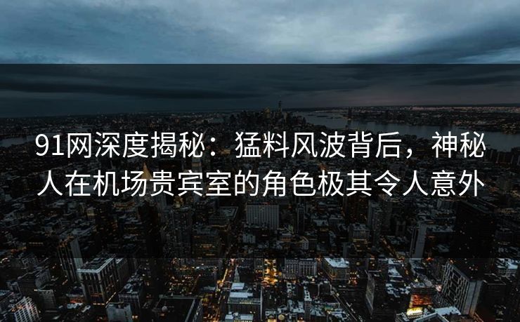 91网深度揭秘：猛料风波背后，神秘人在机场贵宾室的角色极其令人意外